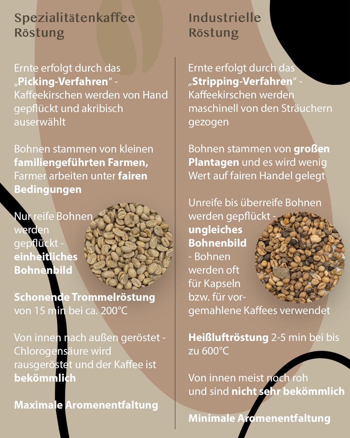 NR. 07 KAFFEE RÖSTUNG - Bonarista